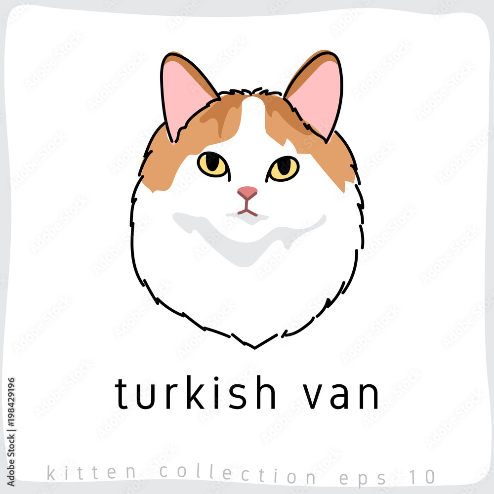 Cat breed collection : Vector Illustration Cat breed collection : Vector Illustration