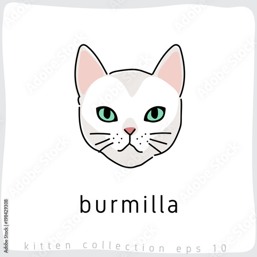 Cat breed collection : Vector Illustration © da_on