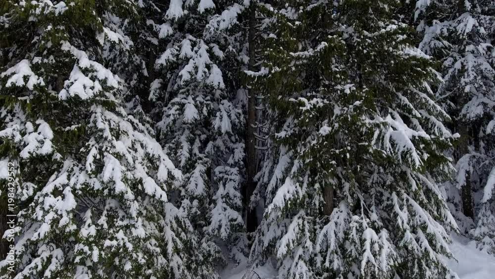 Cypress Mountain Ski Resort West Vancouver BC Canada Cypress Mountain Ski Resort West Vancouver BC Canada