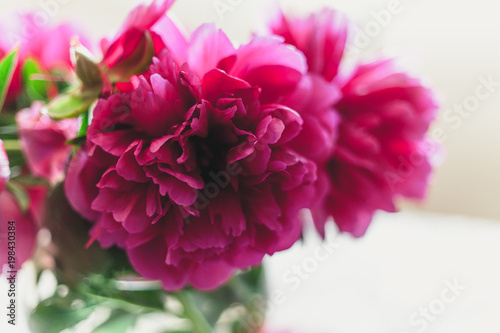 red peonies in glass vase stand on table © glebchik