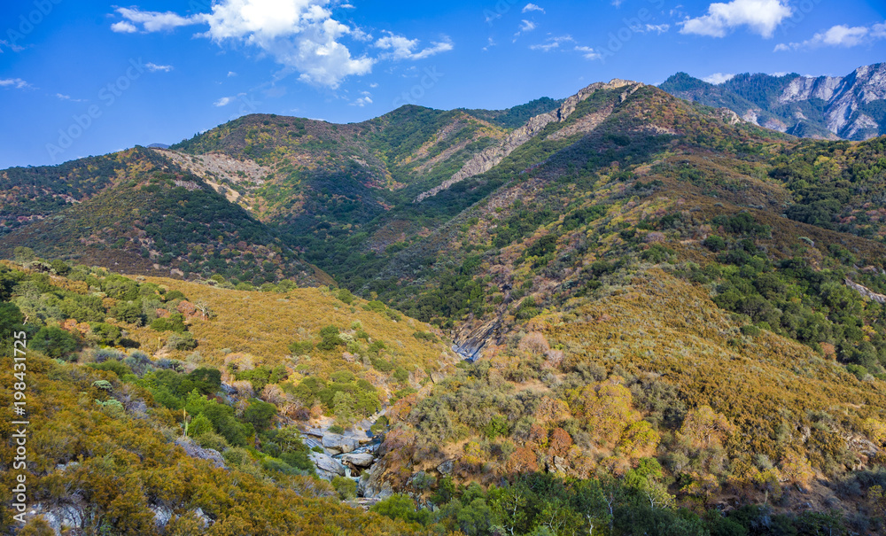 landscape in Sequoia national park with river Kaweah