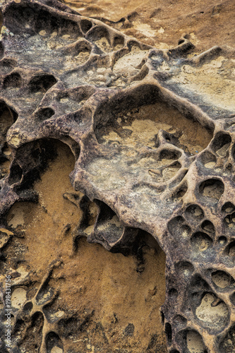 Honeycomb weathering patterns in the Yehliu Geopark, New Taipei, Taiwan, China
