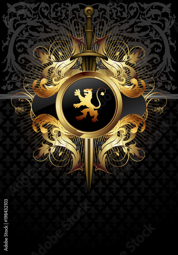 Ornamental  shield with sword.  Highly realistic illustration.