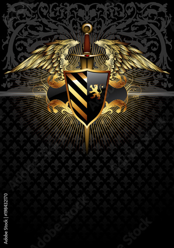 Ornamental  shield with sword.  Highly realistic illustration.