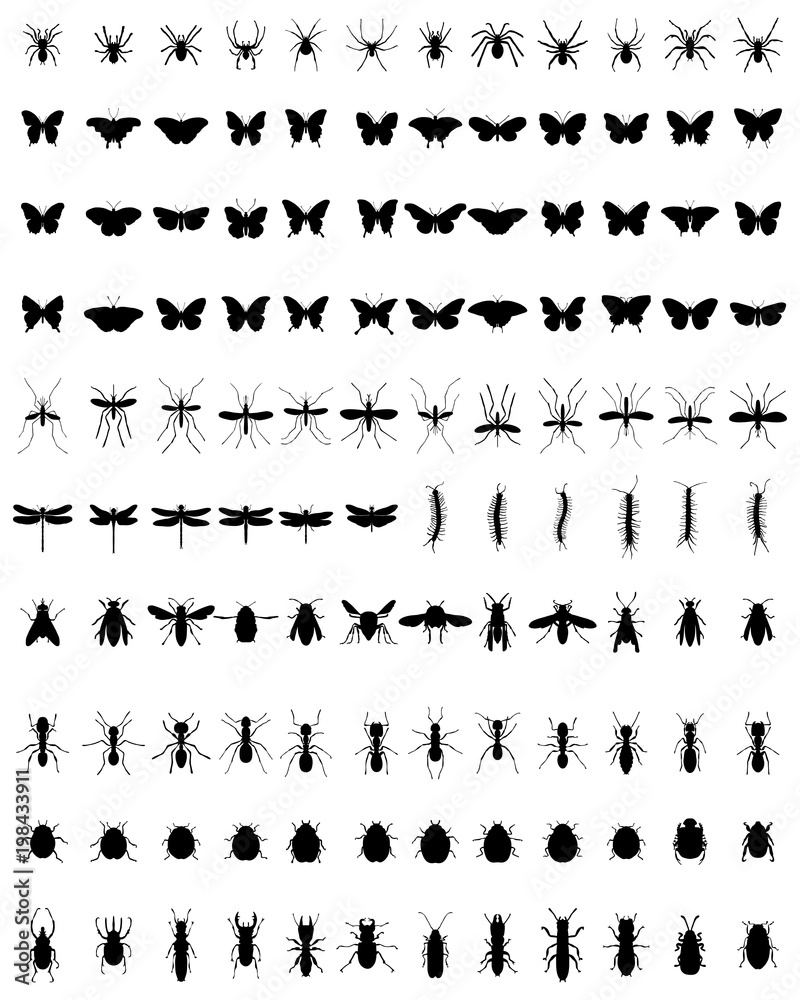 Black silhouettes of different insects  on a white background