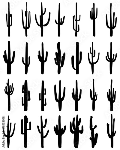 Black silhouettes of different cactus on a white background, vector