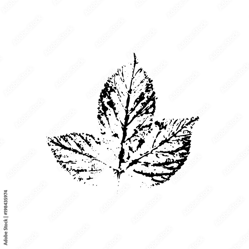 Vector leaf imprint Vector leaf imprint