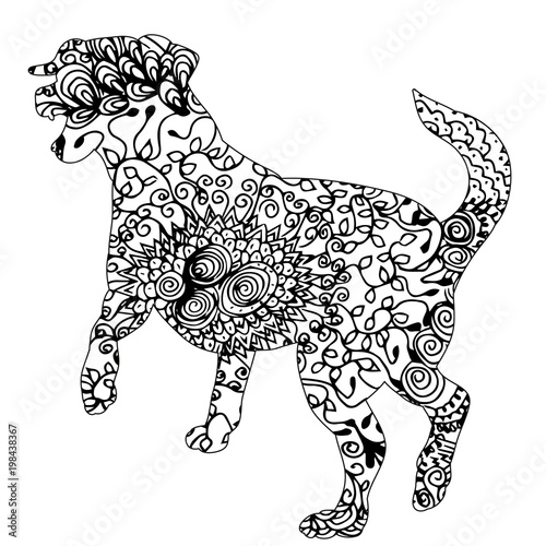 ornament dog  pattern on white background