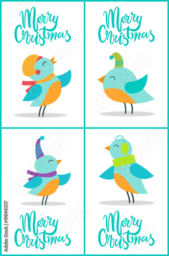 Merry Christmas Birds Set Vector Illustration