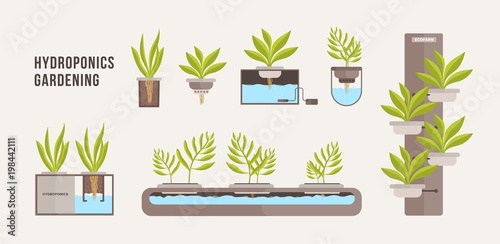 Collection of green plants growing in pots with mineral nutrient solution. Bundle of cross sections of hydroponic gardening systems isolated on light background. Vector illustration in flat style.