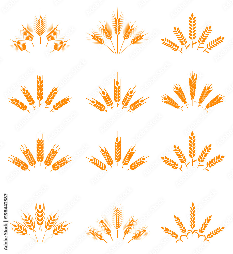 Agricultural symbols isolated on white background. Design elements for bread packaging or beer label. Agricultural symbols isolated on white background. Design elements for bread packaging or beer label.
