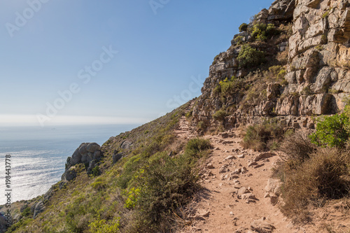 Lion's Head Trail