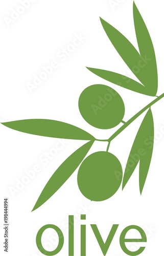Green silhouette of branch of olive tree with leaves and olives