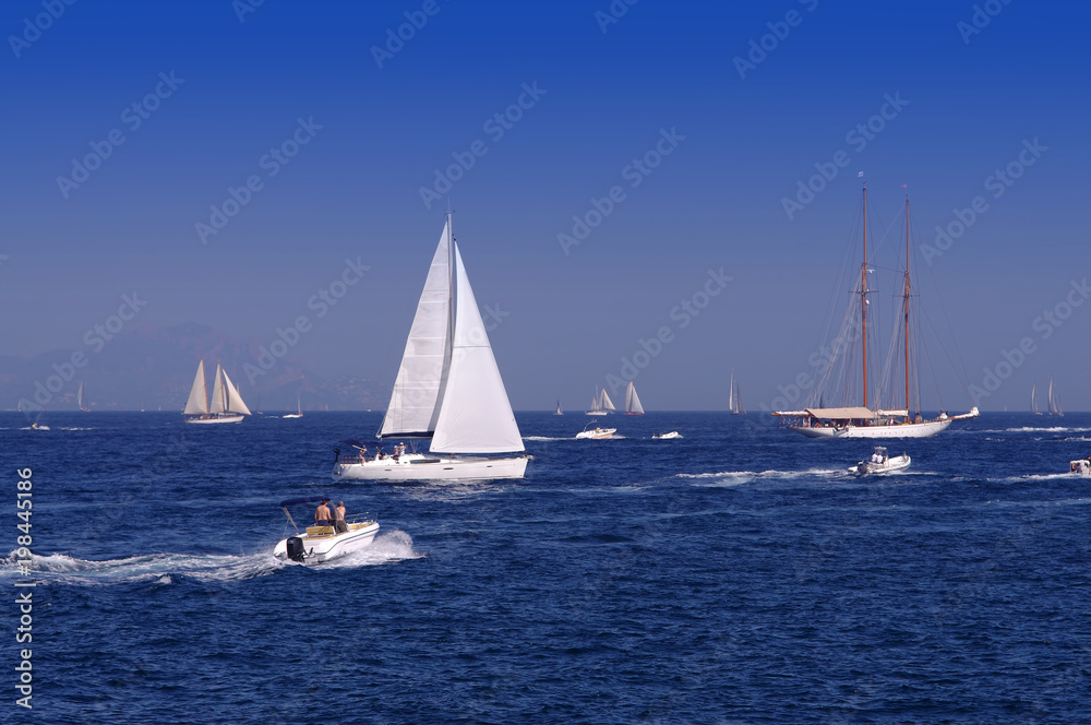 many sail boats on the sea
