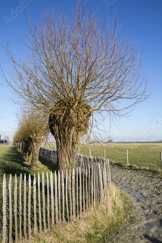 nature reserve t zwin in belgium