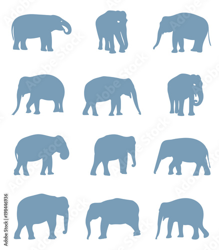 Silhouettes of elephants.