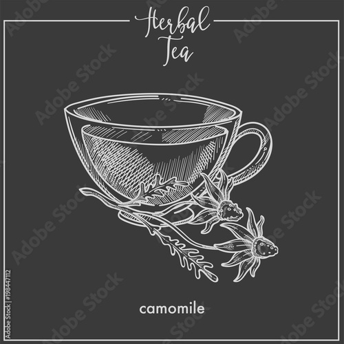 Herbal tea with tender camomile in glass cup