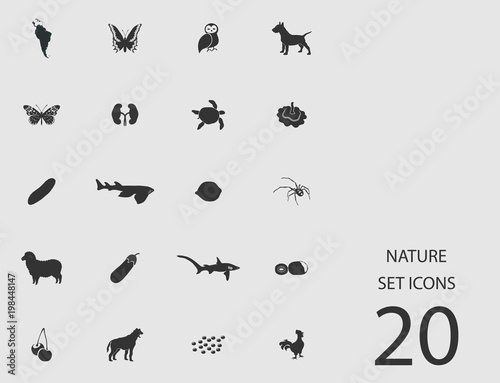 Nature set of flat icons. Vector illustration © kadevo