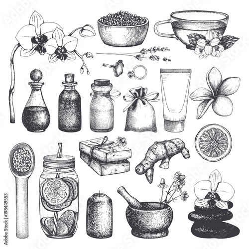 Vintage set of  hand drawn SPA and Beauty illustrations. Cosmetics and aromatic ingredients collection. Vector healthy life elements.