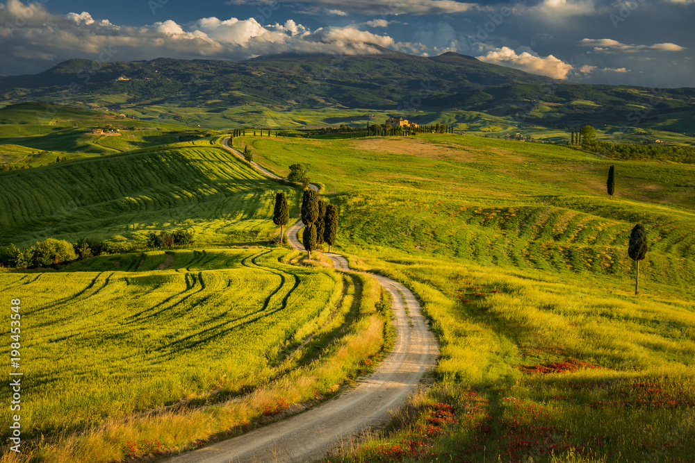 Obraz premium Tuscany spring landscape