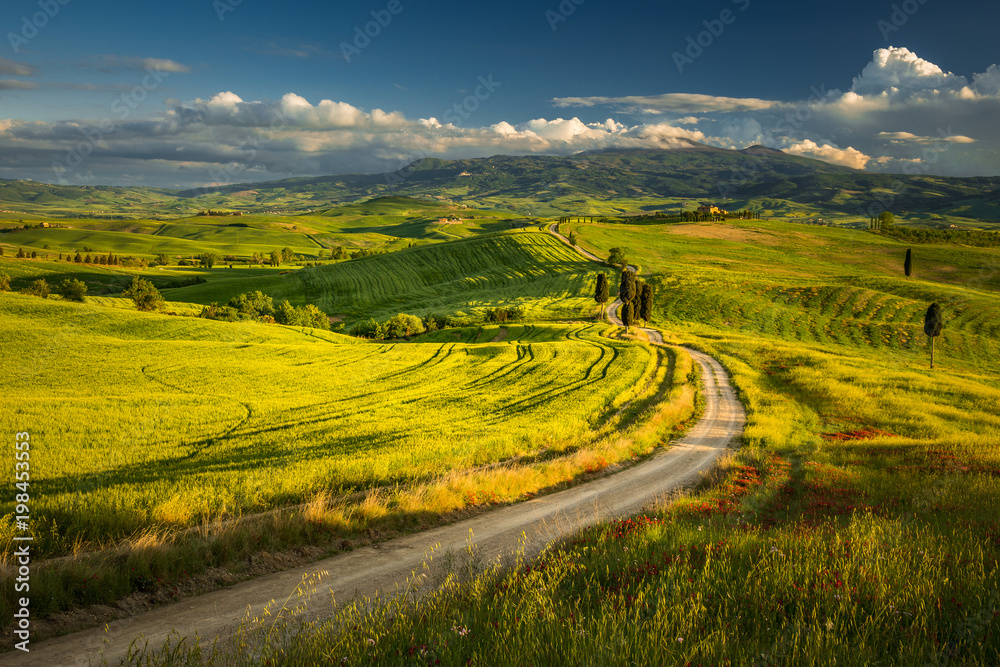 Tuscany spring landscape