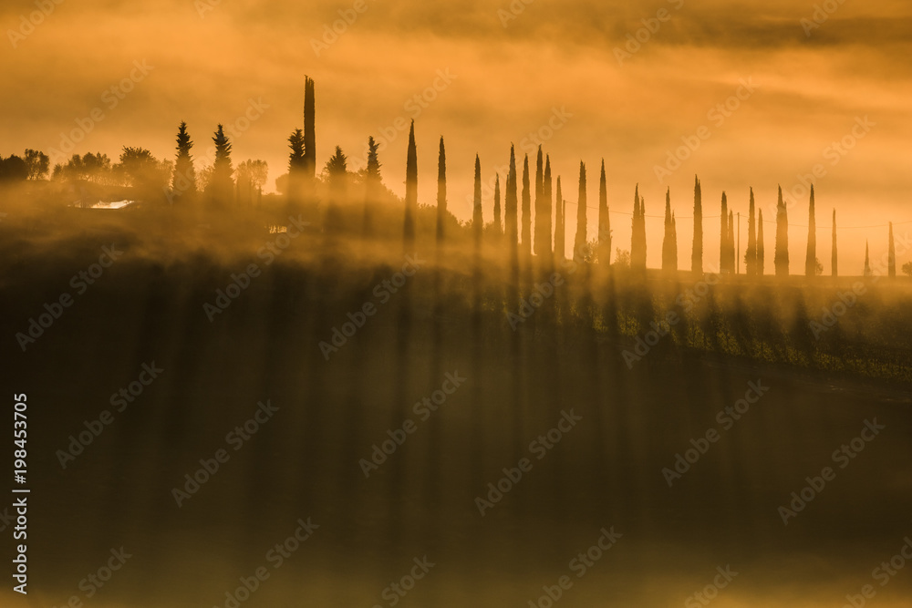 Tuscany spring landscape