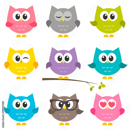 Set of funny owls isolated on white