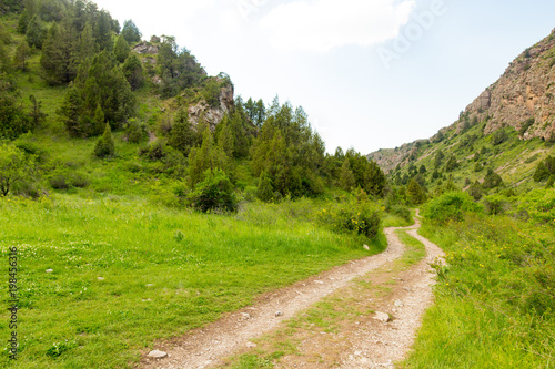 A dirt road in the Tien Shan mountains in the spring © schankz