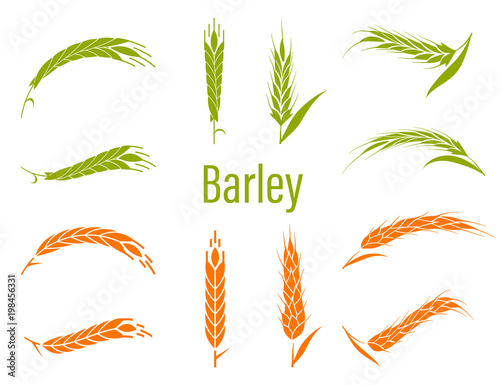 Concept for organic products label, harvest and farming, grain, bakery, healthy food.