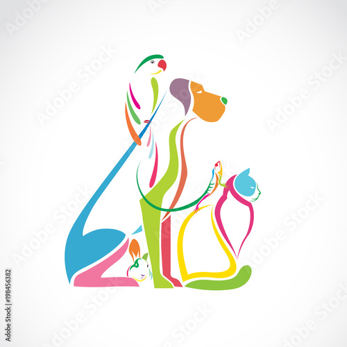 Vector group of pets colorful - Dog, cat, bird, chameleon, rabbit, isolated on white background. Easy editable layered vector illustration.