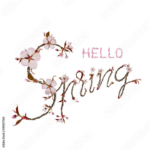 Hello Spring isolated on white background