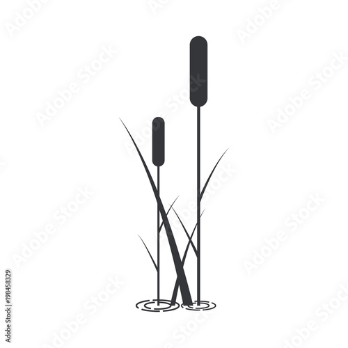 Silhouette of bulrush with leaves.