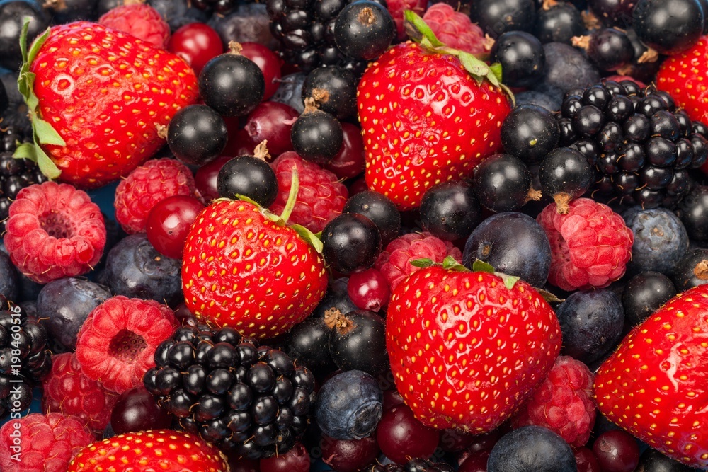 Mixed colorful Berries Mixed colorful Berries