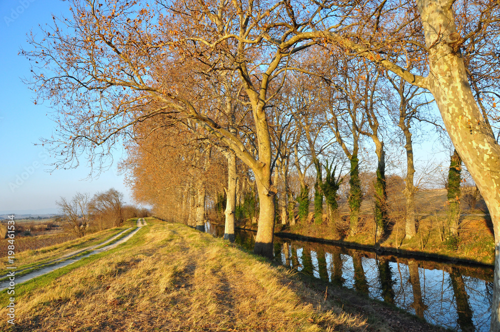 Le canal du Midi, en automne