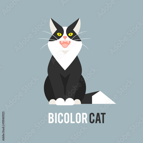 Black and white Cat in a flat style on a blue background.