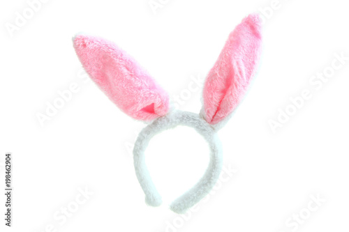 Pink hare ears