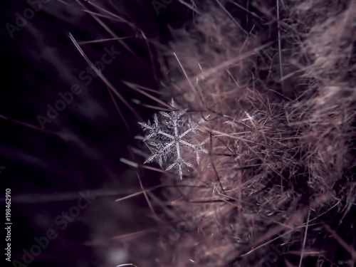 Fototapeta Naklejka Na Ścianę i Meble -  Snowflake beautifull on the colorful background macro