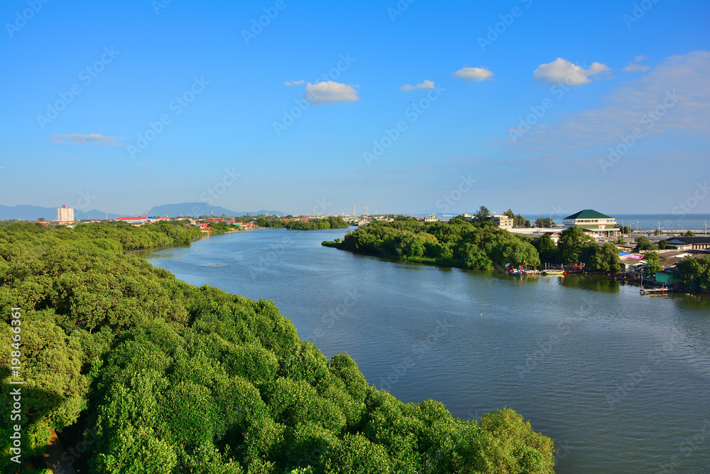View of river,forest,city, sea, has blue sky background