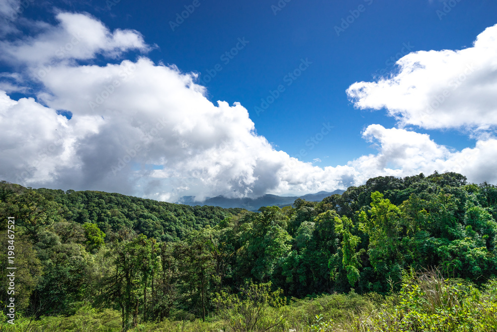 natural view of landscape hill with green mountain and blue sky