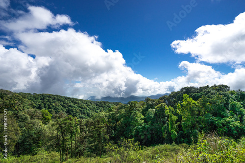 natural view of landscape hill with green mountain and blue sky