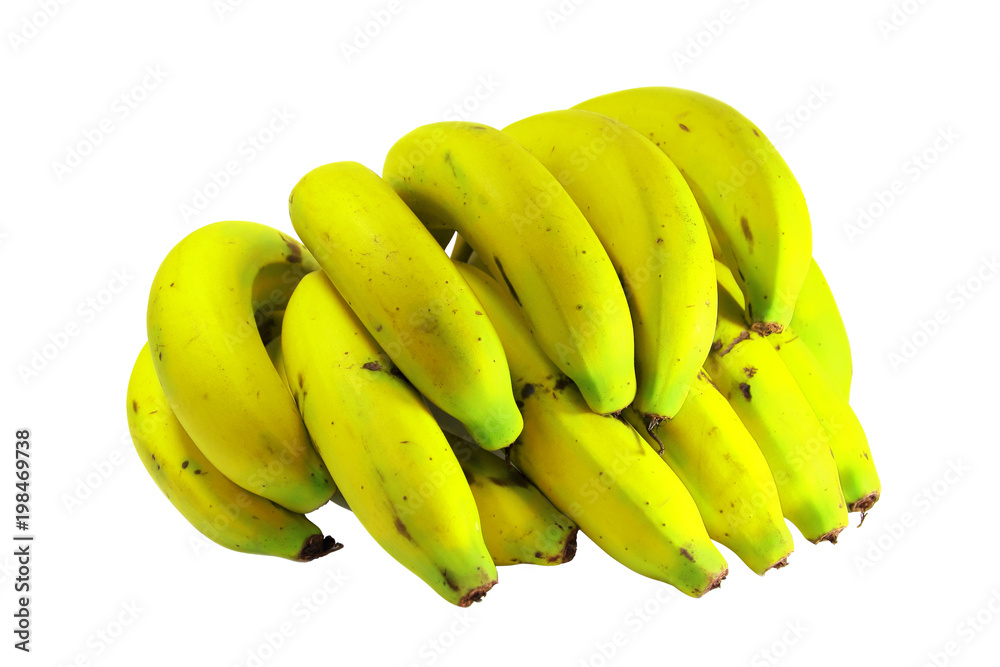 clipping paths,cavendish banana or bunch yellow banana ripe  and delicious isolated on white background