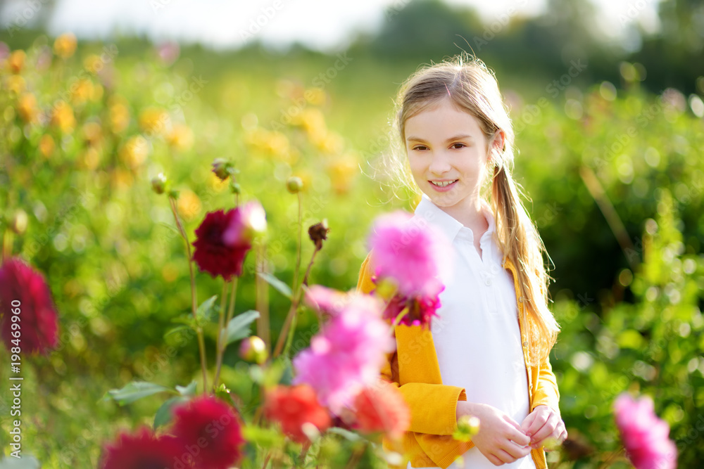 Cute little girl playing in blossoming dahlia field. Child picking fresh flowers in dahlia meadow on sunny summer day Cute little girl playing in blossoming dahlia field. Child picking fresh flowers in dahlia meadow on sunny summer day