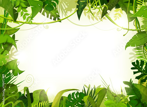 Jungle Tropical Landscape Background