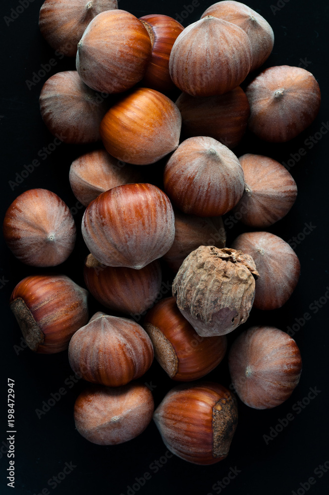 Hazelnuts. Stack of hazelnuts from above. Food background. Hazelnut background. Closeup top view Hazelnuts. Stack of hazelnuts from above. Food background. Hazelnut background. Closeup top view