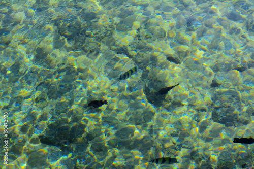 Multicolored beautiful red sea fish over the thickness of the water on a blurred background of coral reefs and yellow sand. Sharm el-Sheikh, Egypt.