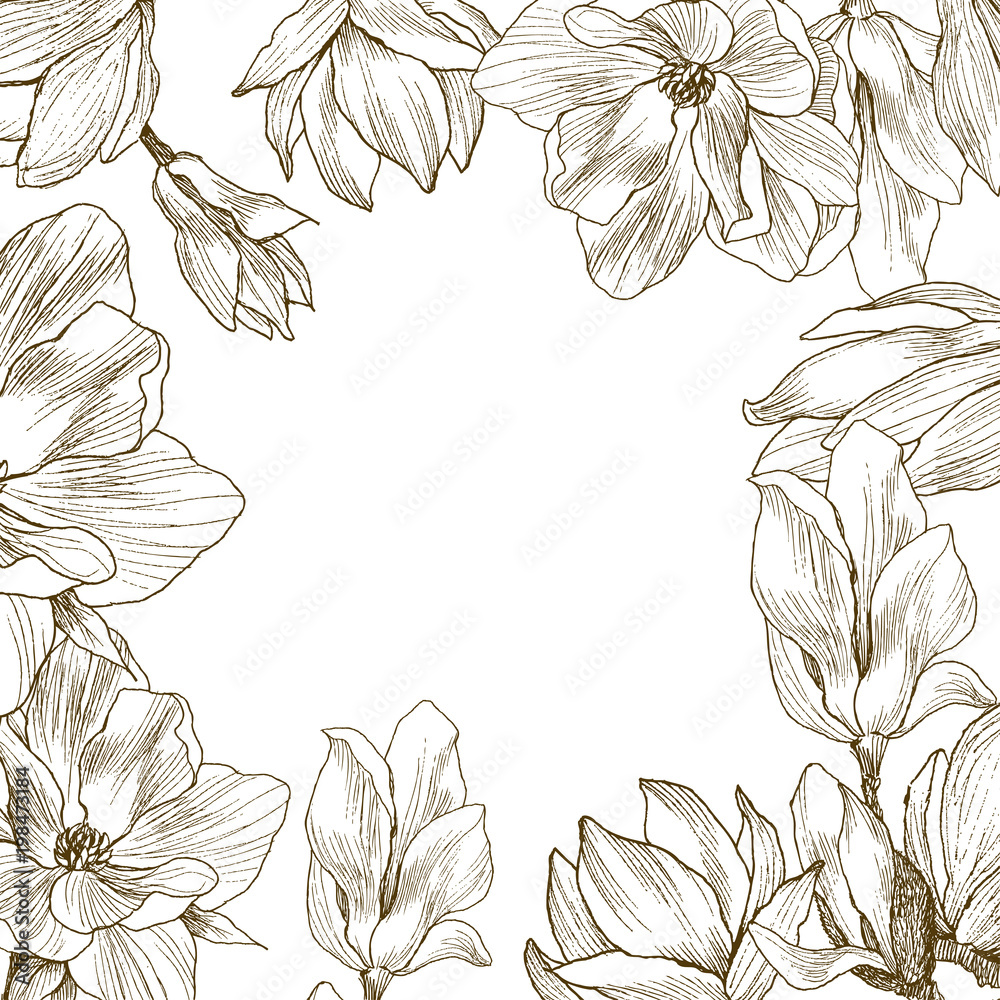 Fototapeta premium Around of flowers, place for text. Magnolia background. Hand drawn nature painting. Freehand sketching illustration