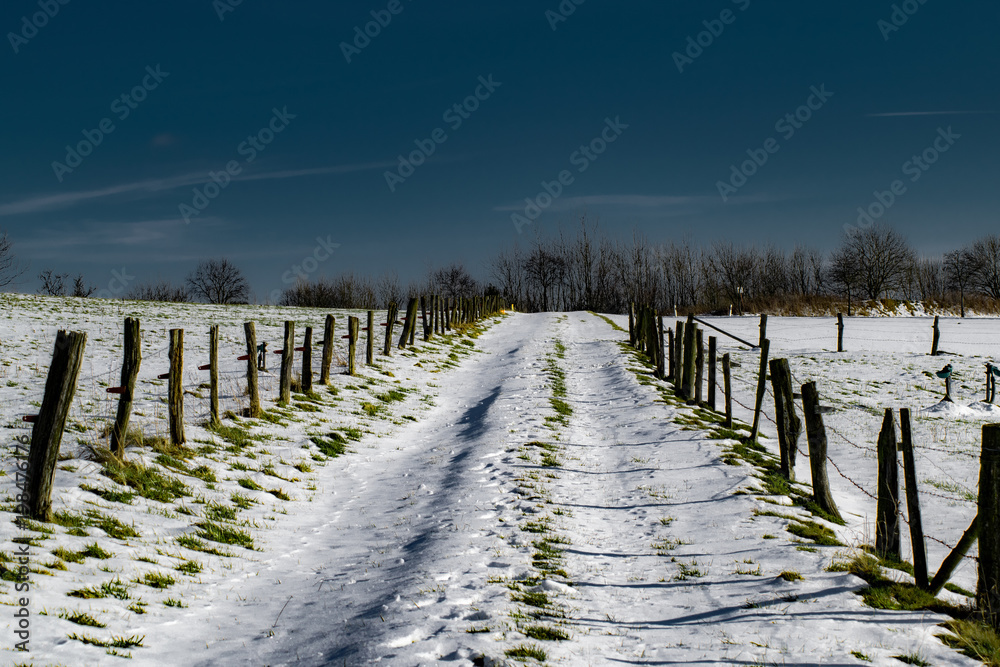 Fototapeta premium Waldweg winter