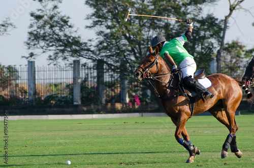 Polo player and horse playing © Hola53