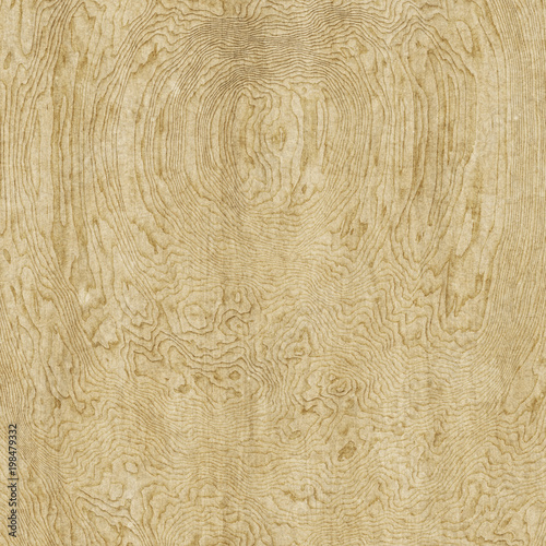 Εκτύπωση καμβά gnarled wooden background texture
