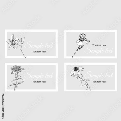 Business card with  sketch summer flowers and text on a gray background in a white frame.